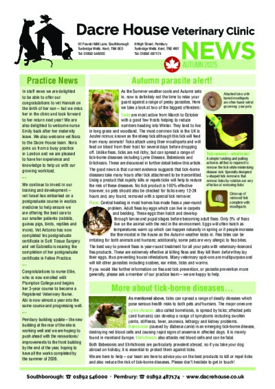 Autumn 2025 newsletter