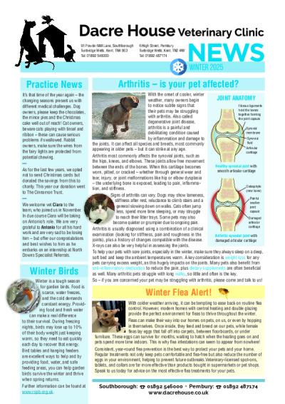 Winter 2025 newsletter