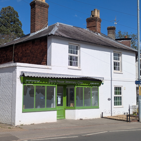 Improvements at the Pembury clinic